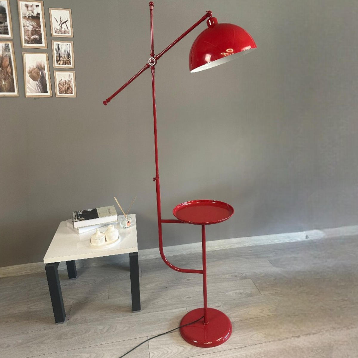 STEHLAMPE Raxon 165 Cm - Rot, Metall (30/30/165cm) - Bamyum