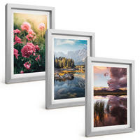 BILDER SET 3er Set - 20x30 cm Silberner Rahmen - Blumengarten Berge Wasser - Silberfarben, Kunststoff (20/30cm) - TULUP