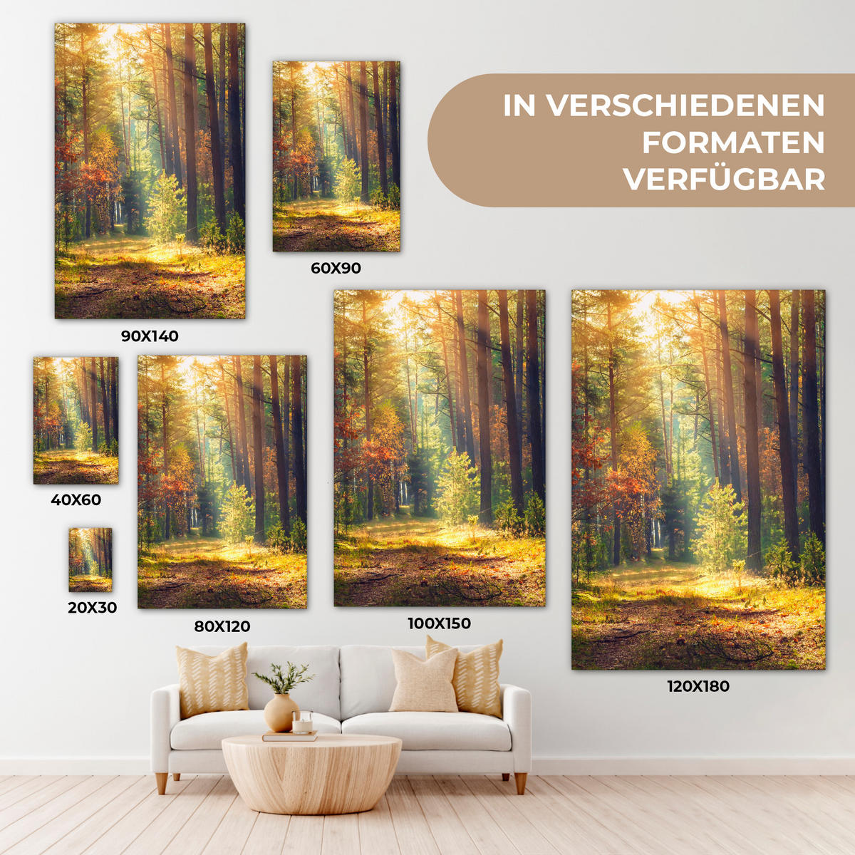 LEINWANDBILD Wald - Herbst - Bäume 60x90 cm - Dunkelgrün, Textil (60/90cm) - MuchoWow