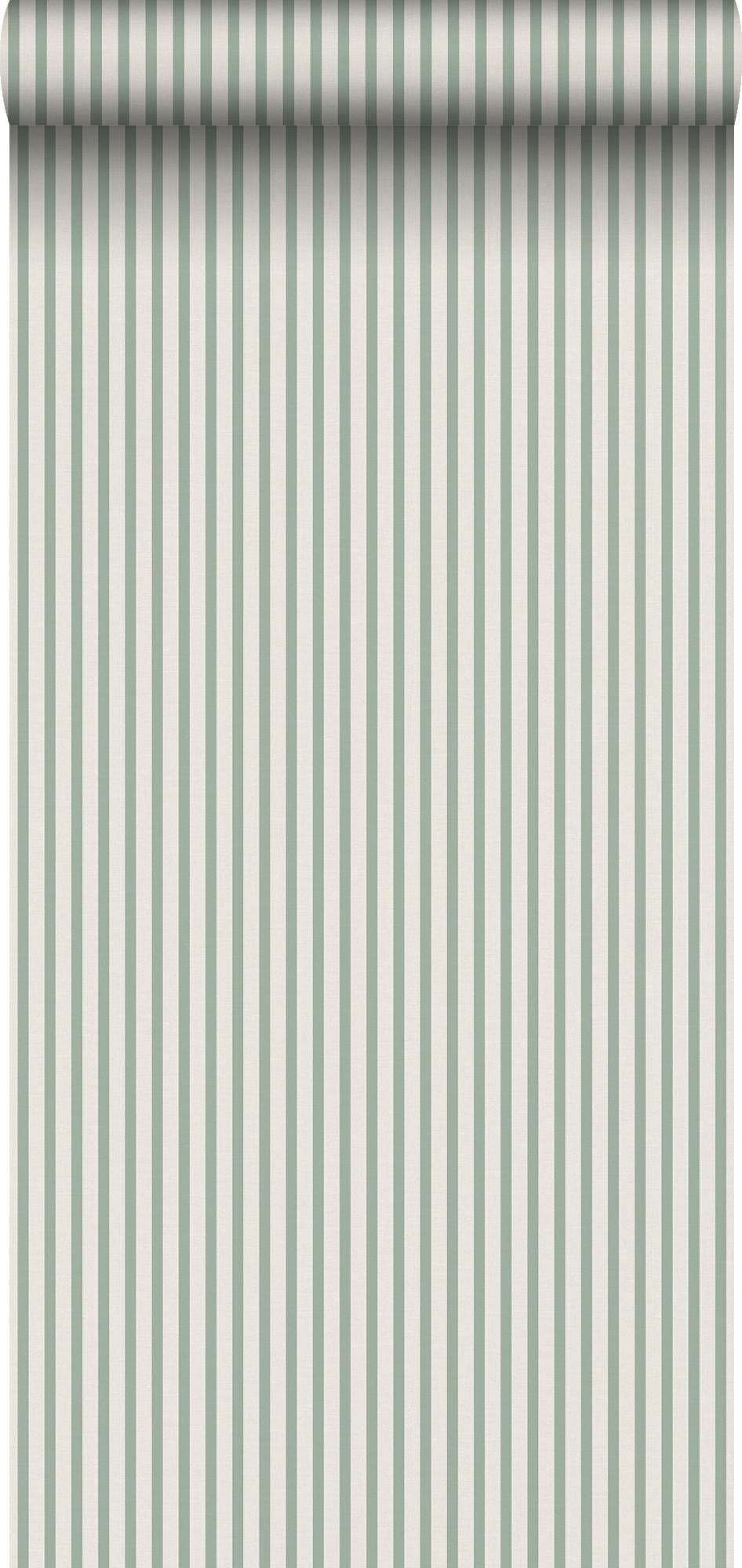 TAPETE Streifen 53 cm x 10.05 m - Grün, Papier (53/1000cm) - Sanders & Sanders