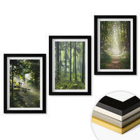 WANDBILDER 3er-Set - 20x30 cm Schwarzer Rahmen - Grüne Wälder mit Lichtstrahlen - Schwarz, Kunststoff (20/30cm) - ArtPrintCave
