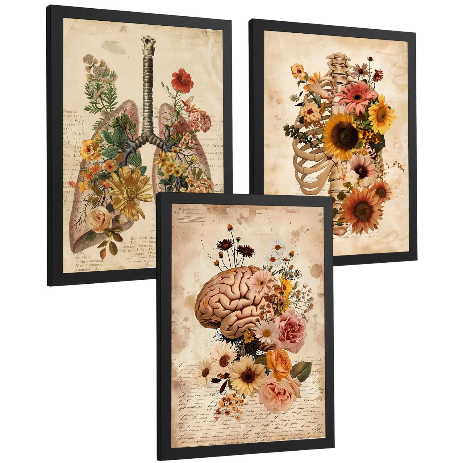 POSTER Set aus 3 Anatomie Mensch Florale Drucke und Wandbilder mit Lungen Brustkorb und Gehirn Botanischer Antiker Stil Größe Schwarzer Rahmen A3 - Schwarz, Papier (29.7/42/3cm) - Nacnic