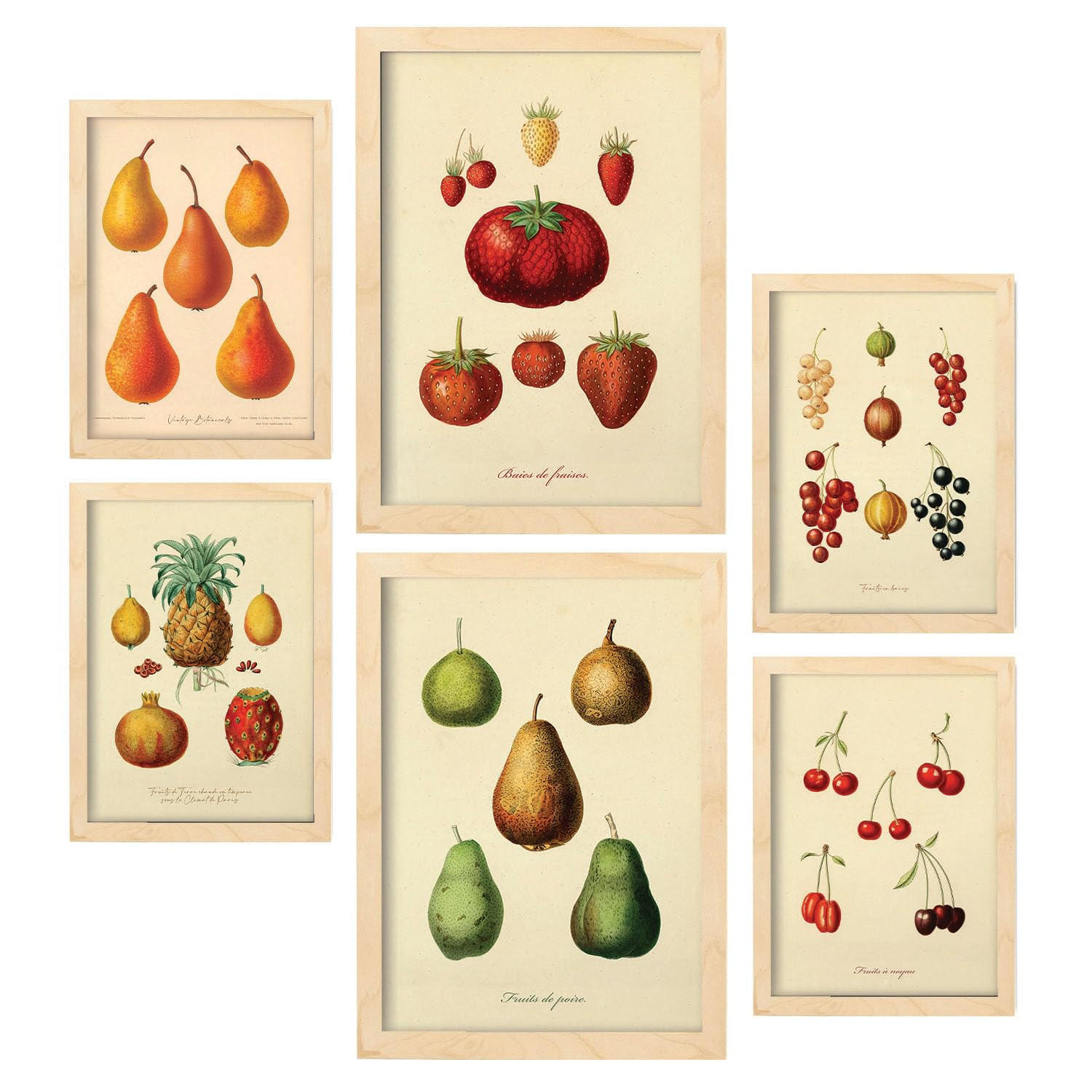 POSTER Set Mit 6 Früchte In Vintage A3 & A4 Rahmen Aus Hellem Holz - Beige, Papier (29/3cm) - Nacnic