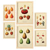 POSTER Set Mit 6 Früchte In Vintage A3 & A4 Rahmen Aus Hellem Holz - Beige, Papier (29/3cm) - Nacnic