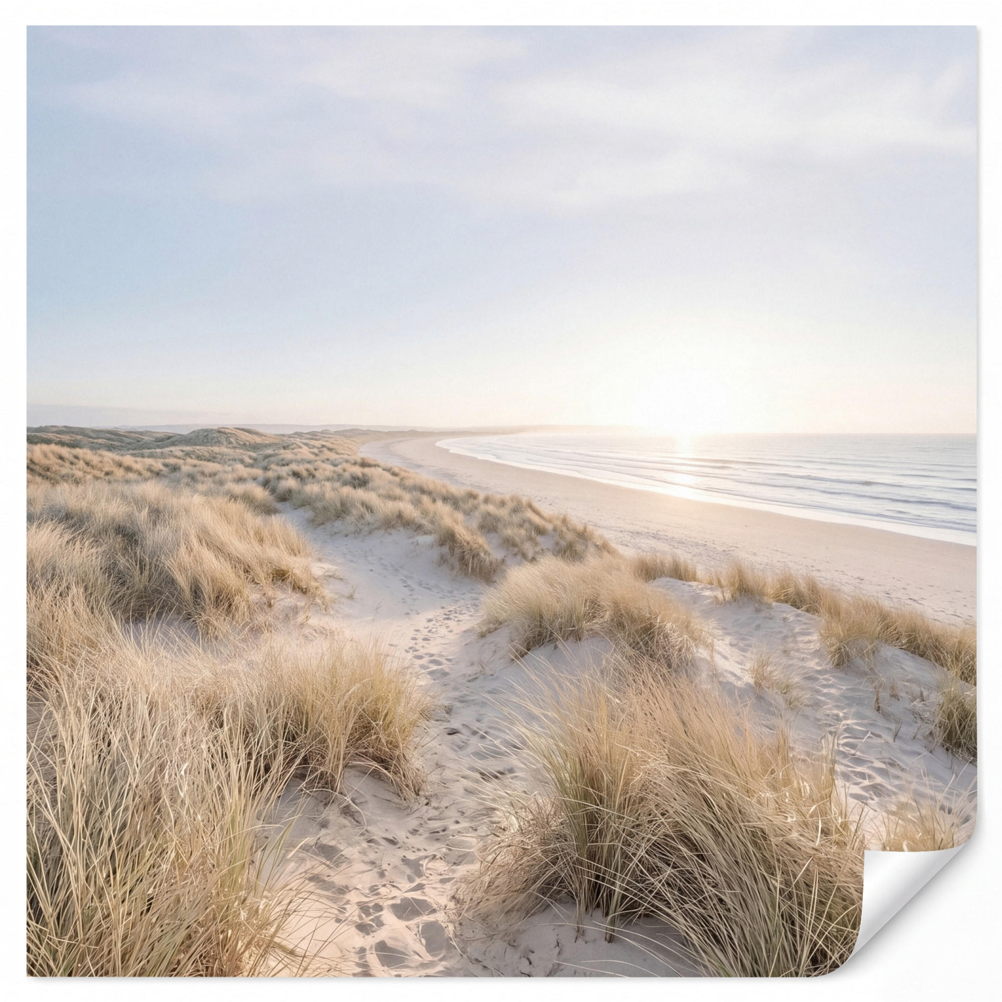 OnlyWow Tapete Sand 260x240 cm