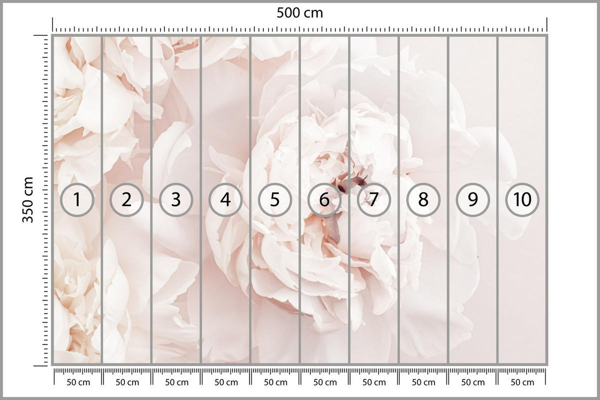 FOTOTAPETE für Schlafzimmer Pfingstrosen Blumen 3D 500x350 - Beige/Rosa, Papier (500/350cm) - Muralo