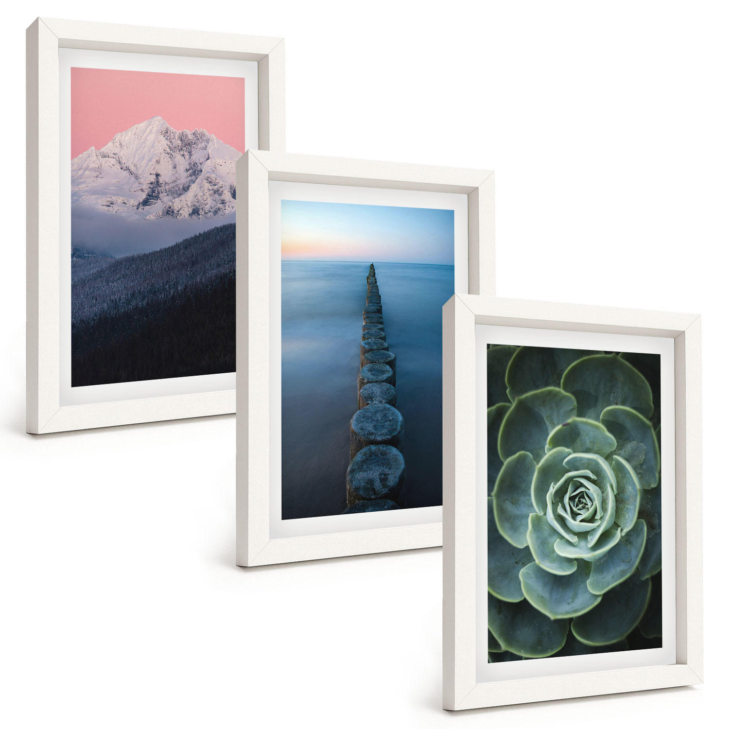 BILDER SET 3er Set - 20x30 cm Weißer Rahmen - Berge, rosa Himmel, Wasser, Sukkulente - Weiß, Kunststoff (20/30cm) - TULUP