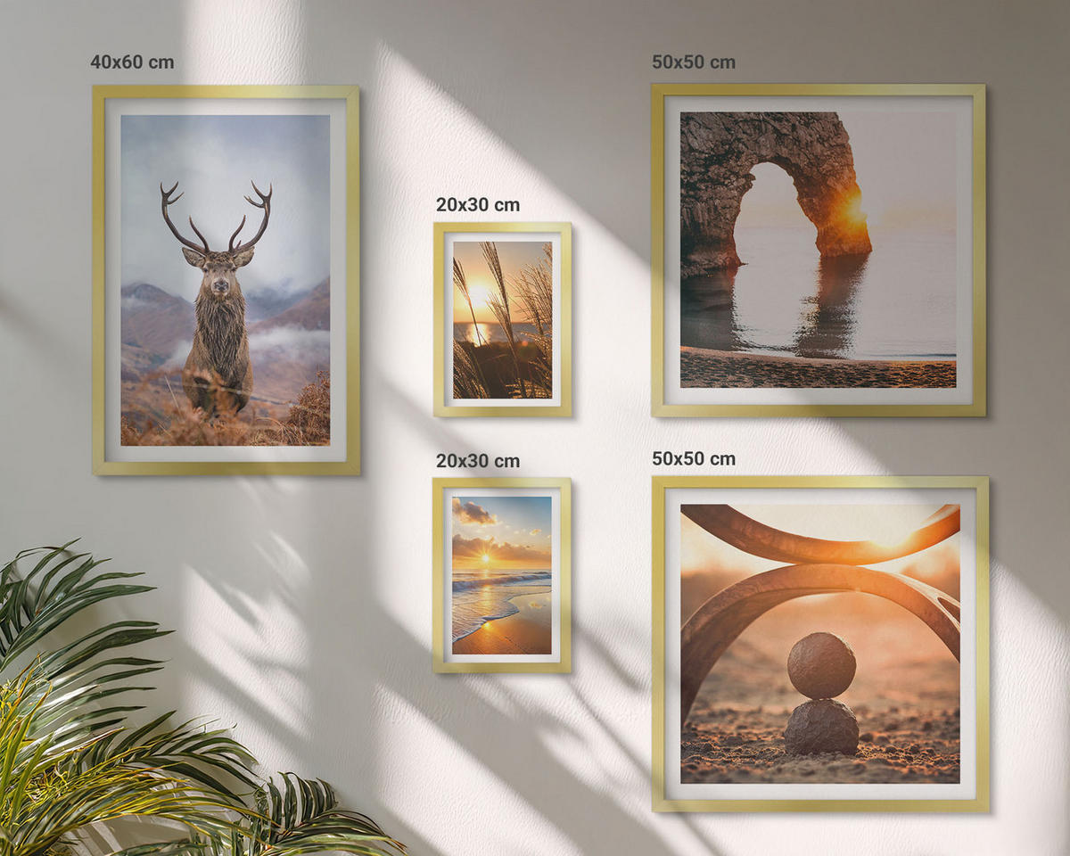 BILDER SET 5er Set - 50x50 cm & 20x30 cm & 40x60 cm Goldrahmen - Blätter des Weißen Tigerwasserfalls - Goldfarben, Kunststoff (40/60cm) - TULUP