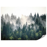 FOTOTAPETE für Wohnzimmer Nebeliger Nadelwald Berg Mystik Bäume 500x350 - Weiß/Grün, Papier (500/350cm) - Muralo