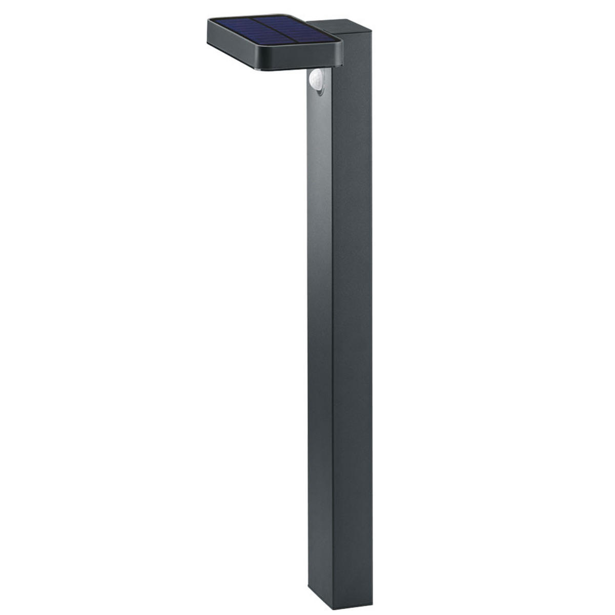 LED AUSSENLEUCHTE ESQUEL Anthrazit Edelstahl - Anthrazit, Metall (14/18/60cm)