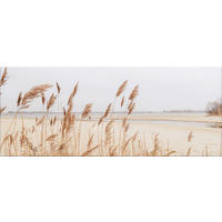 GLASBILD 125x50 cm Strand beige - Beige, Glas (125/50cm) - artissimo