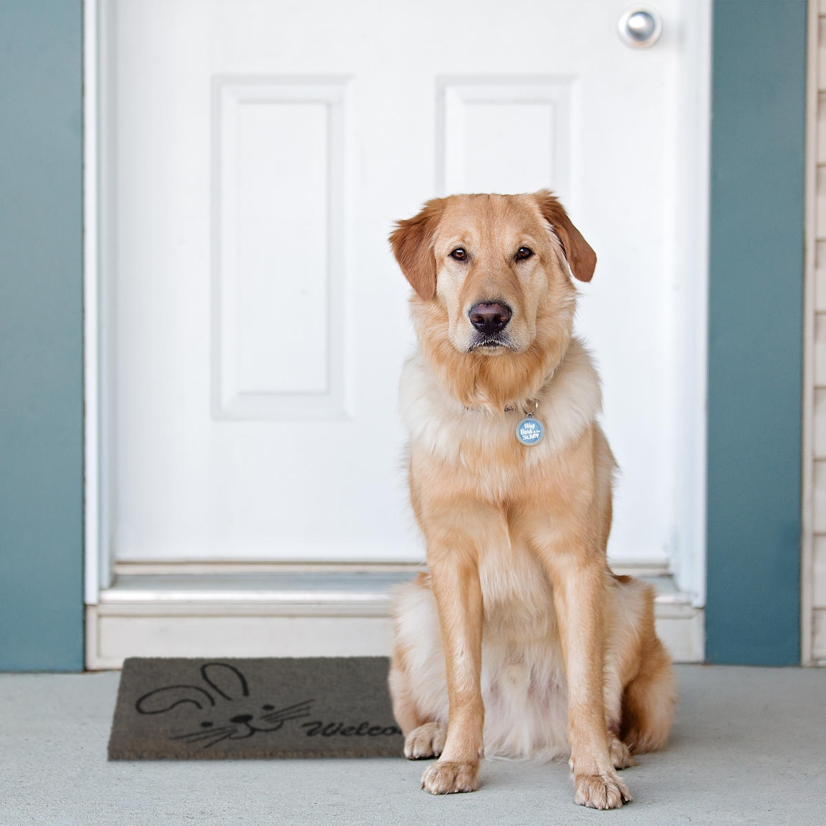 FUßMATTE - Grau, Kunststoff/Textil (60/40cm) - Relaxdays