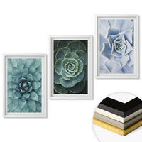 WANDBILDER 3er-Set - 40x60 cm Weißer Rahmen - Sukkulente Pflanzen grün türkis - Weiß, Kunststoff (40/60cm) - ArtPrintCave