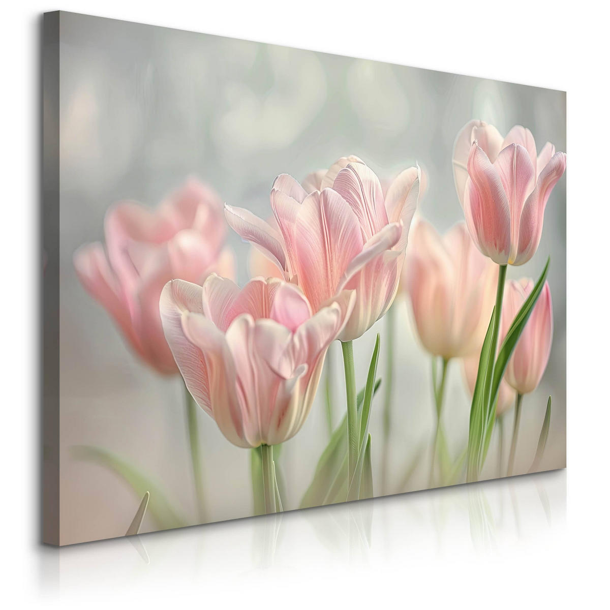 LEINWANDBILD für Wohnzimmer Blumen Tulpen Blätter Natur 120cm x 80cm - Weiß/Rosa, Textil (120/80cm) - Muralo