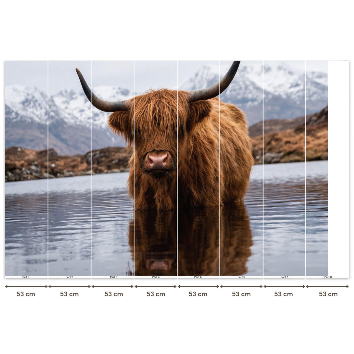 TAPETE - Schottischer Hochländer - Braun - Wasser - 400x280 cm - Braun, Papier (400/280cm) - OnlyWow
