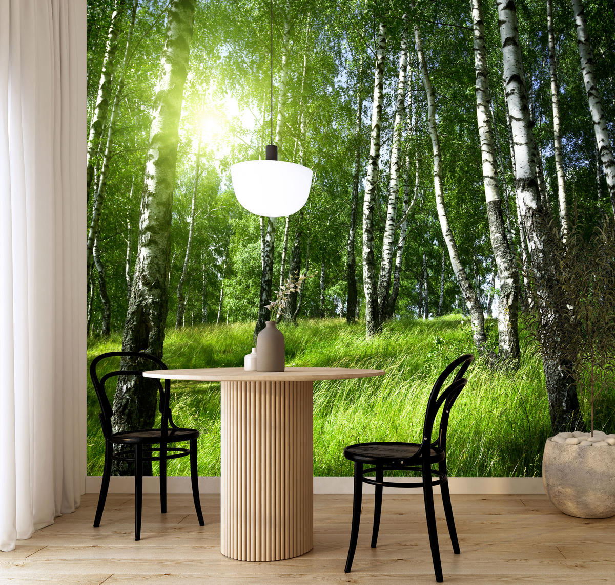 FOTOTAPETE für Wohnzimmer Grüner Birkenwald Gras Sonne Natur 200x140 - Schwarz/Weiß, Papier (200/140cm) - Muralo