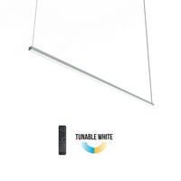 LED-HÄNGELEUCHTE Splint X1 Tunable White - Grau, Metall (2/100/2cm) - Lumicom