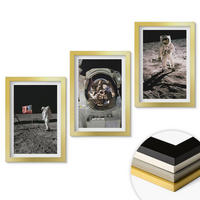 WANDBILDER 3er Set - 20x30 cm Goldrahmen - NASA-Mondlandung - Goldfarben, Kunststoff (20/30cm) - ArtPrintCave