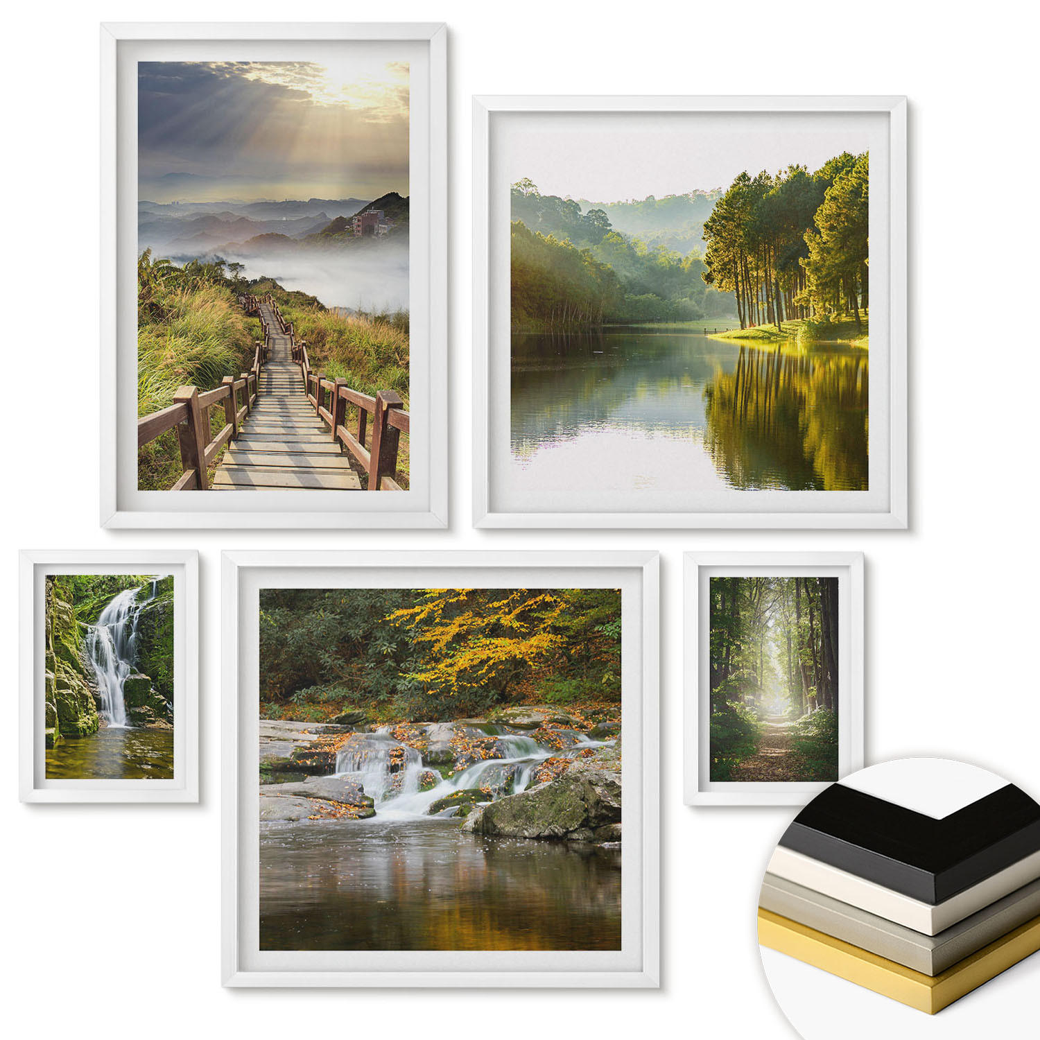 WANDBILDER 5er-Set - 50x50 cm & 20x30 cm & 40x60 cm Weißer Rahmen - Grüne Blätter von eleganten Sukkulenten - Weiß, Kunststoff (40/60cm) - ArtPrintCave