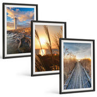 BILDER SET 3er Set - 40x60 cm Schwarzer Rahmen - Leuchtturm-Grassteg - Schwarz, Kunststoff (40/60cm) - TULUP