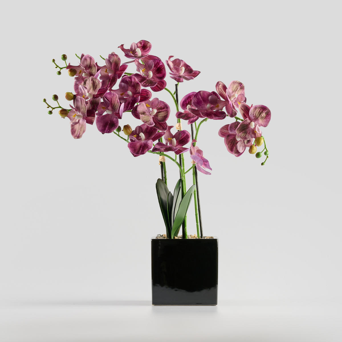 KUNSTPFLANZE Florettis - Violett, Keramik (65cm) - home&you