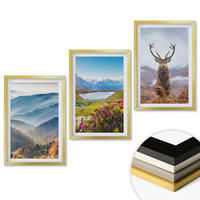 WANDBILDER 3er Set - 40x60 cm Goldrahmen - Natur des Bergseehirsches - Goldfarben, Kunststoff (40/60cm) - ArtPrintCave