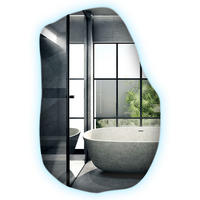 LED-SPIEGEL 70x45,5 cm Asymmetrisch Kaltweiß 6000K - Transparent, Glas (45.4/70/0.4cm) - Wallfluent