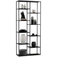REGAL Schwarz  - Schwarz, Trend, Kunststoff/Metall (80/188/30cm) - Carryhome
