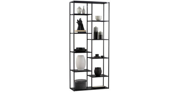 REGAL Schwarz - Schwarz, Trend, Kunststoff/Metall (80/188/30cm) - Carryhome
