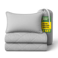 BETTENSET 2tlg. Reise Set ( Sommer Steppdecke 135x200cm + Kissen 40x80cm) - Hellgrau - Hellgrau, Textil (135/200cm) - Bestlivings
