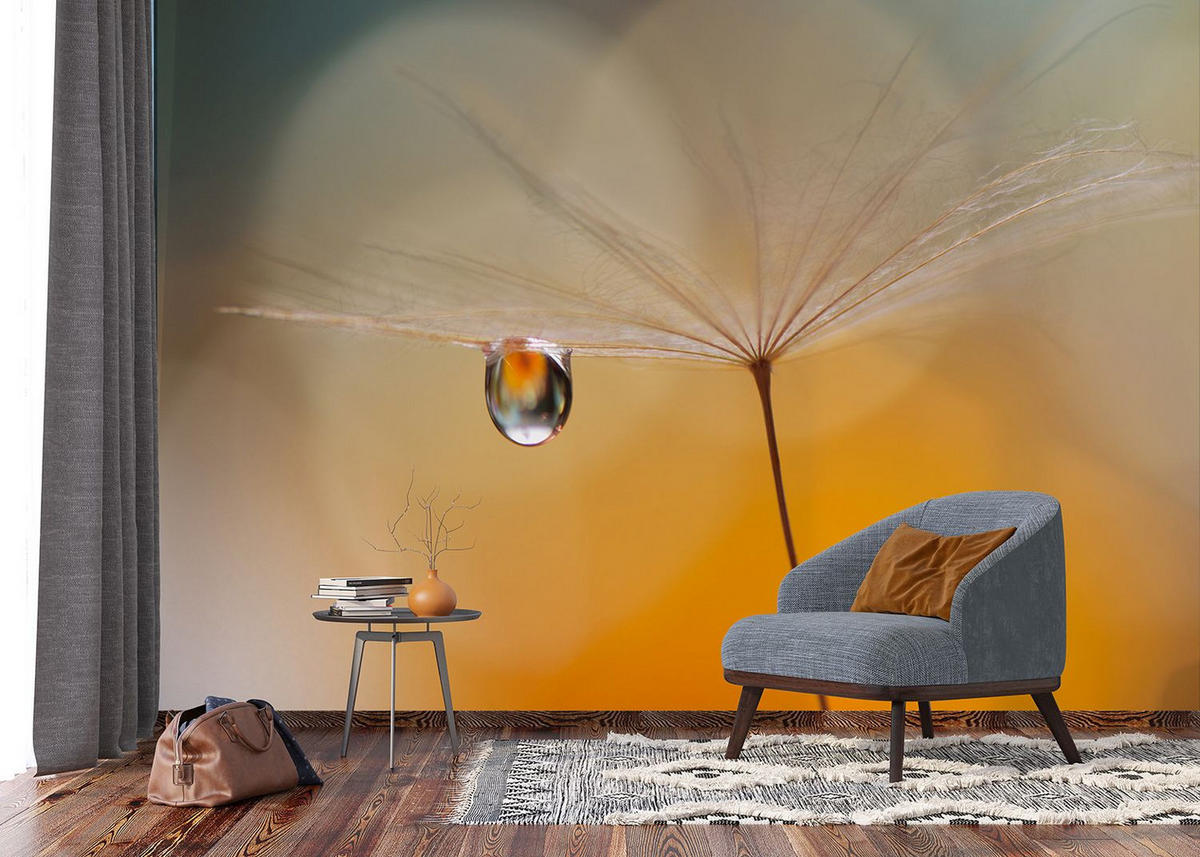 FOTOTAPETE morning drop 375 x 270 cm - Orange, Papier (375/270cm) - Sanders & Sanders