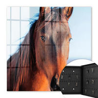 SCHLÜSSELBOX Schwarz 30x30 cm- Türöffnung nach rechts - Porträt eines Pferdes - Braun, Metall (30/30/5cm) - TULUP