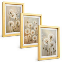 BILDER SET 3er Set - 20x30 cm Goldrahmen - Weiße Löwenzahnblüten auf hellem Hintergrund - Goldfarben, Kunststoff (20/30cm) - TULUP