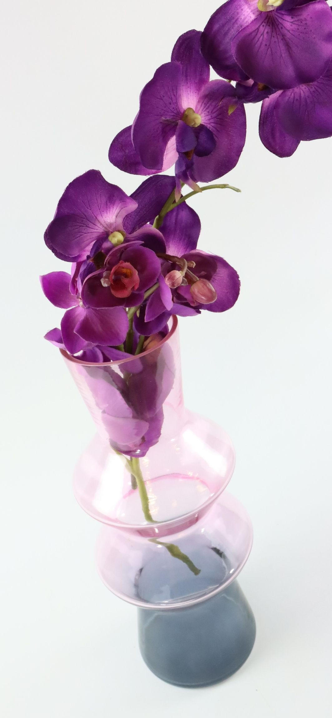 VASE Multicolor dunkelblau-rosa - Rosa, Glas (31cm) - FURNARO