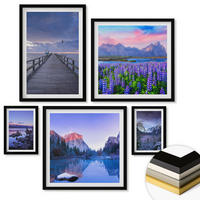 WANDBILDER 5er-Set - 50x50 cm & 20x30 cm & 40x60 cm Schwarzer Rahmen - Berglandschaften, Wasser, Blumenfeld - Schwarz, Kunststoff (40/60cm) - ArtPrintCave