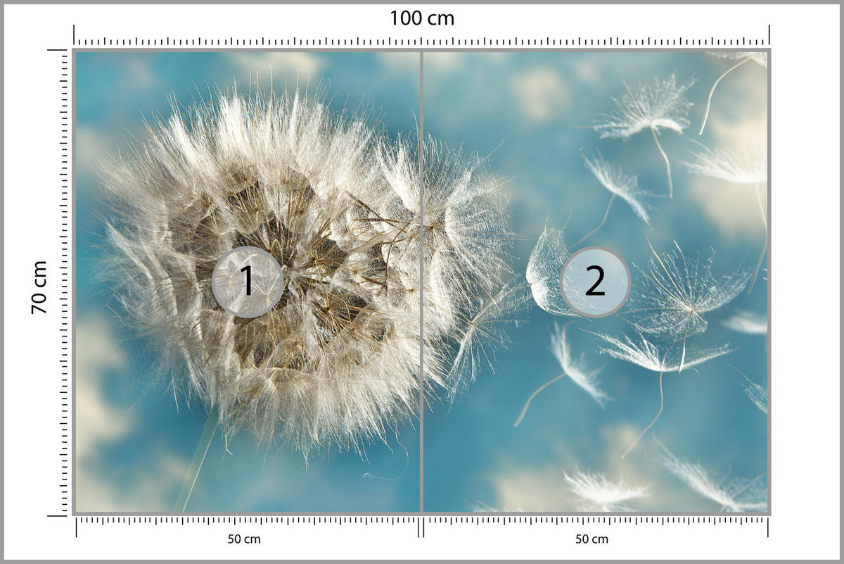 FOTOTAPETE für Schlafzimmer Löwenzahn im Wind Leicht Dynamisch 100x70 - Blau/Beige, Papier (100/70cm) - Muralo
