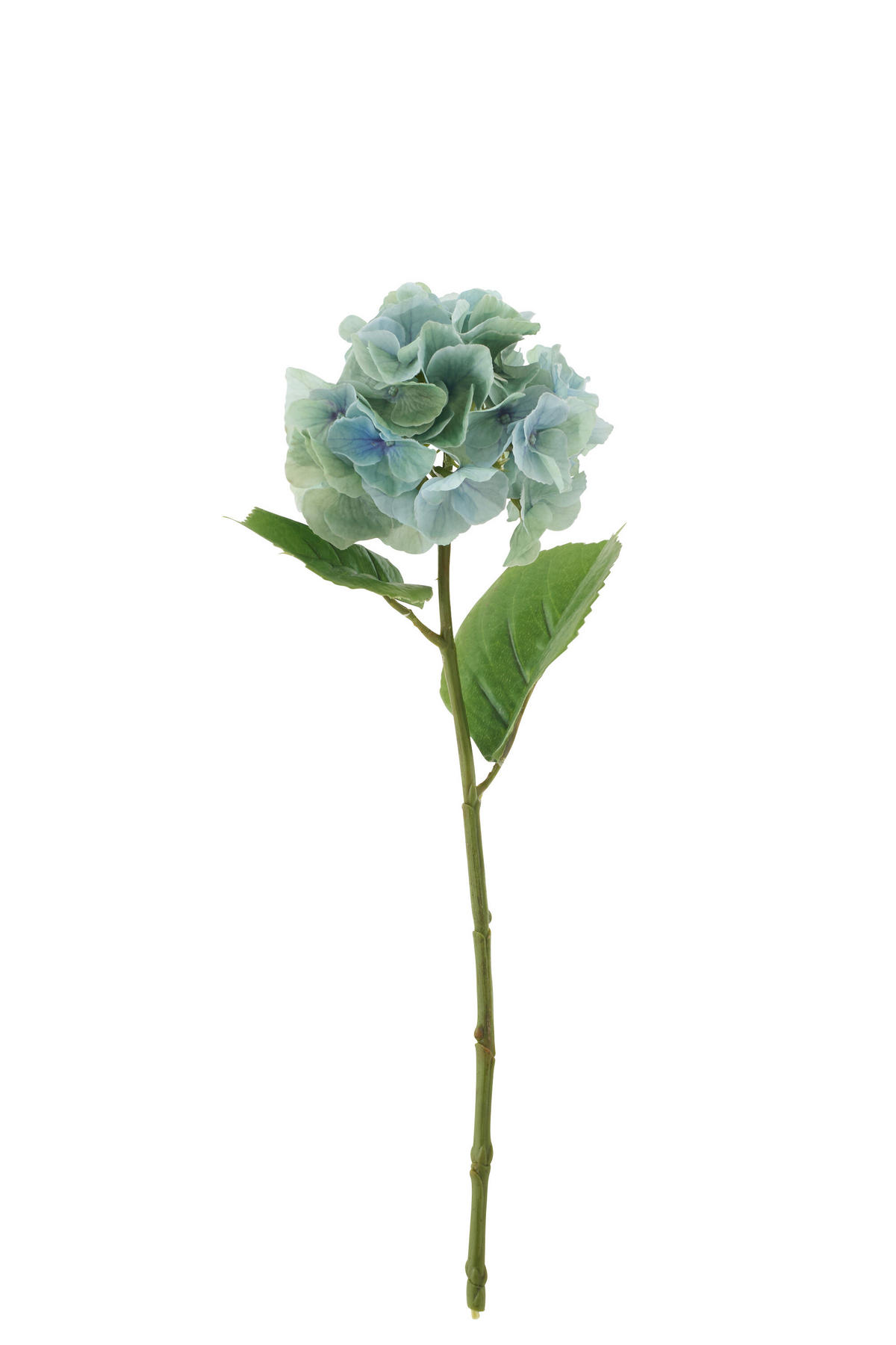 BLUME HORTENSIE FRESH TOUCH Blau - Blau, Textil (48cm) - J-Line