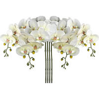KUNSTBLUME Orchideenzweig 4-teiliges Set Beige - Weiß, Kunststoff (72.9cm)
