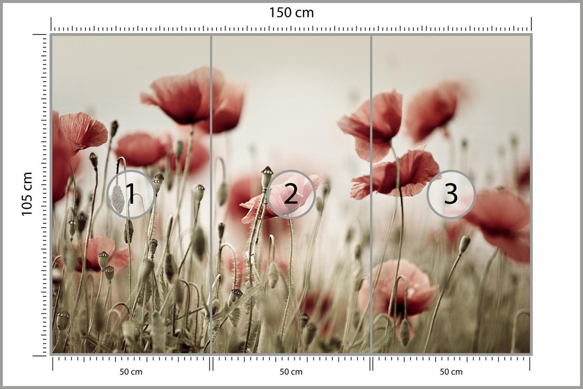 FOTOTAPETE für Wohnzimmer Zarte Mohn Blumen Wiese Rot 150x105 - Beige/Rot, Papier (150/105cm) - Muralo