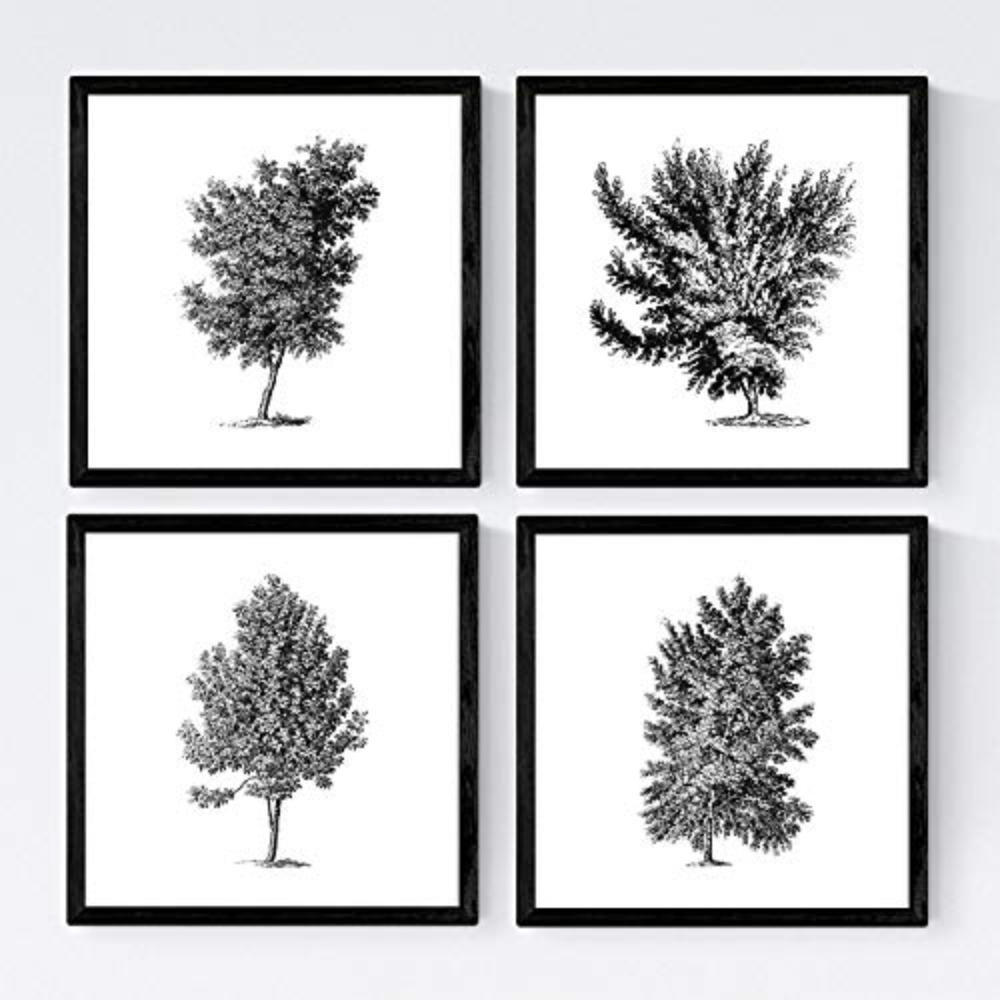 POSTER Set mit 4 Blättern der verschiedene Richtungen weiß Hintergrund 30x30 cm Rahmenlos - Klar, Papier (30/3cm) - Nacnic