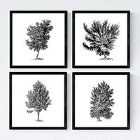 POSTER Set mit 4 Blättern der verschiedene Richtungen weiß Hintergrund 30x30 cm Rahmenlos - Klar, Papier (30/3cm) - Nacnic