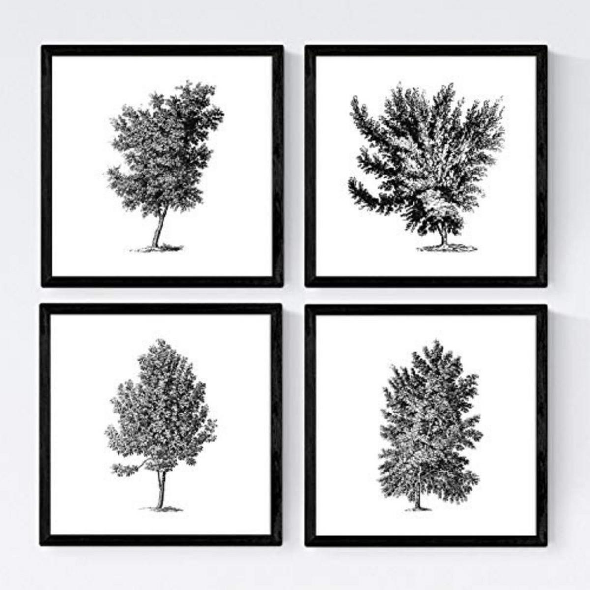 POSTER Set mit 4 Blättern der verschiedene Richtungen weiß Hintergrund 30x30 cm Rahmenlos - Klar, Papier (30/3cm) - Nacnic