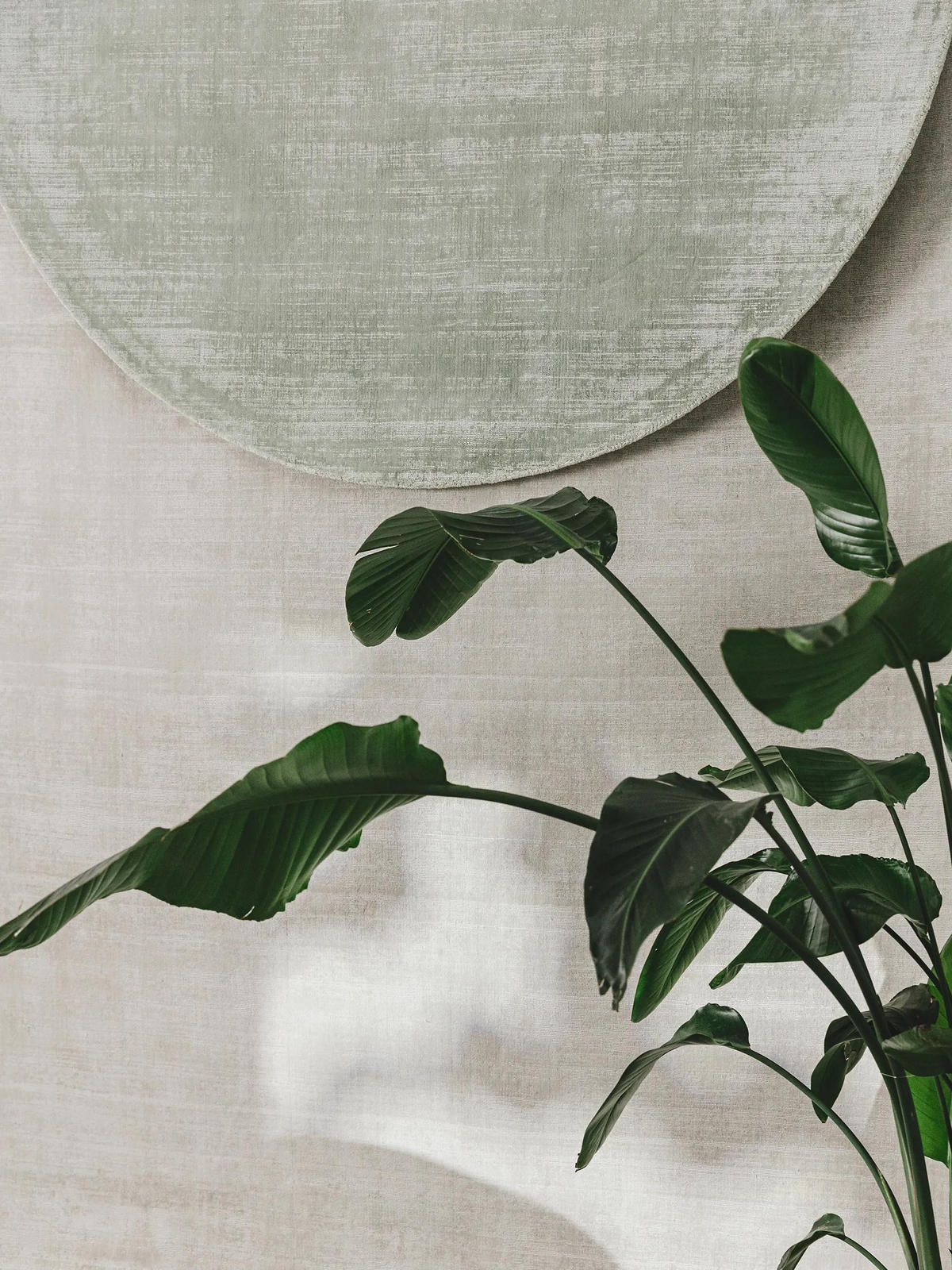 VISKOSETEPPICH Nova Hellgrau 160x230 cm - Hellgrau, Naturmaterialien/Textil (160/230cm) - benuta Pure