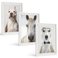 BILDER SET 3er Set - 40x60 cm Weißer Rahmen - Elegante Porträts von Hunden und Pferden - Weiß, Kunststoff (40/60cm) - TULUP