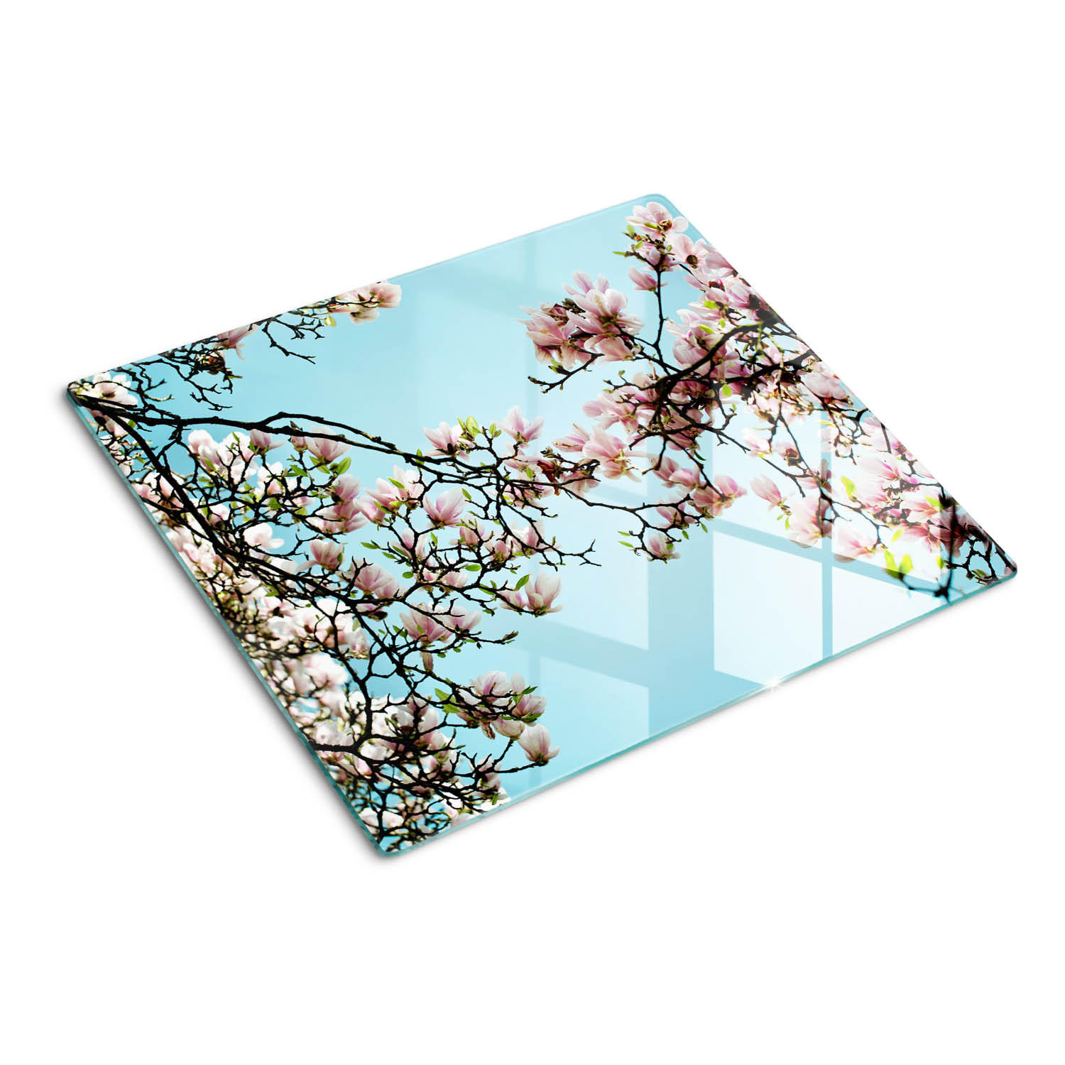 GLASPLATTE 60x52 cm Magnolienblüten - Blau, Glas (60/0.4/52cm) - TULUP