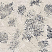 FOTOTAPETE botanische Papiere 400 x 280 cm - Grau, Papier (400/280cm) - Sanders & Sanders