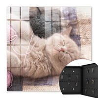 SCHLÜSSELBOX Schwarz 30x30 cm- Türöffnung nach rechts - Schlafendes Kätzchen - Beige, Metall (30/30/5cm) - TULUP