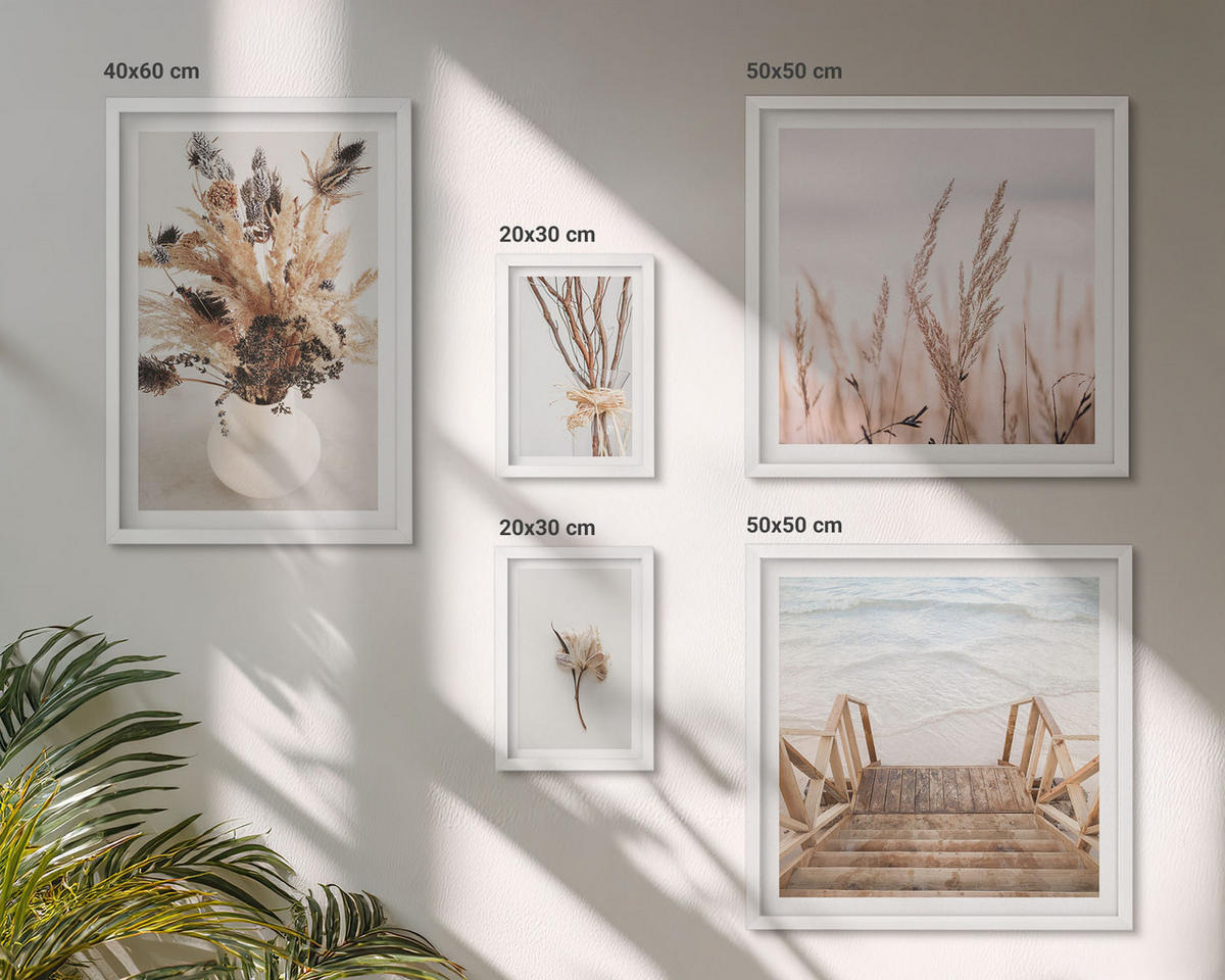 BILDER SET 5er Set - 50x50 cm & 20x30 cm & 40x60 cm Weißer Rahmen - Blumenzweige Minimalismus Natur - Weiß, Kunststoff (40/60cm) - TULUP