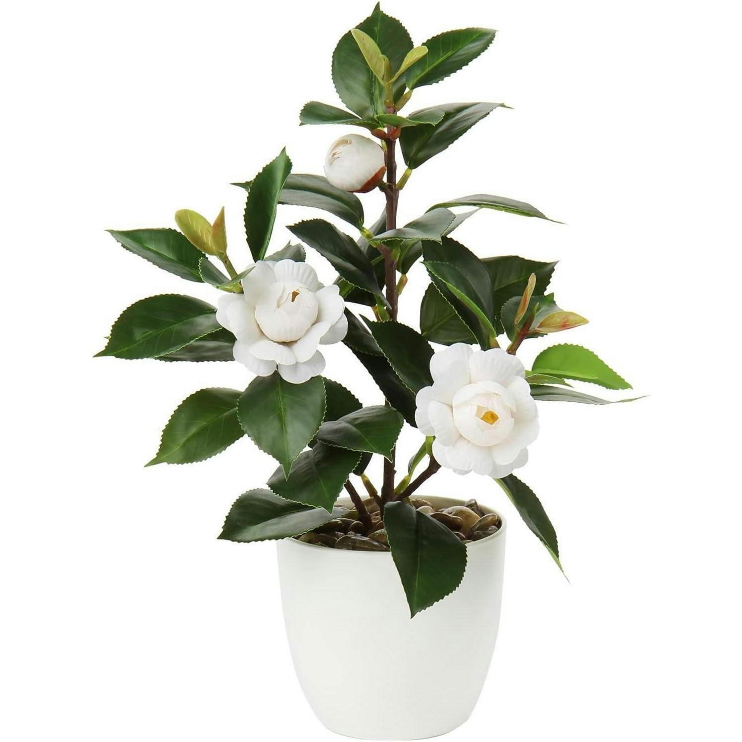 KUNSTPFLANZE Kamelie Weiß 28 cm - Weiß, Kunststoff (27.9cm)