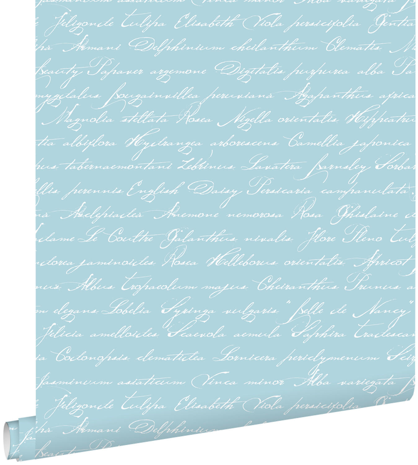 TAPETE handgeschriebene lateinische Blumennamen 53 cm x 10.05 m - Blau, Papier (53/1000cm) - ESTAhome